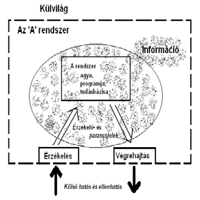 Információ – a kibernetikai lánc része