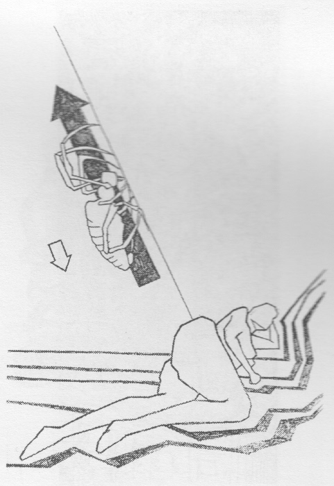 [38. rajz]